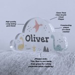 Dinosaur Acrylic Plaque Custom Name Nursery Decor Dinosaur Gift