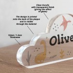 Dinosaur Acrylic Plaque Custom Name Nursery Decor Dinosaur Gift
