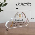 Personalised Baby Gift Standing Acrylic Plaque Birth Details