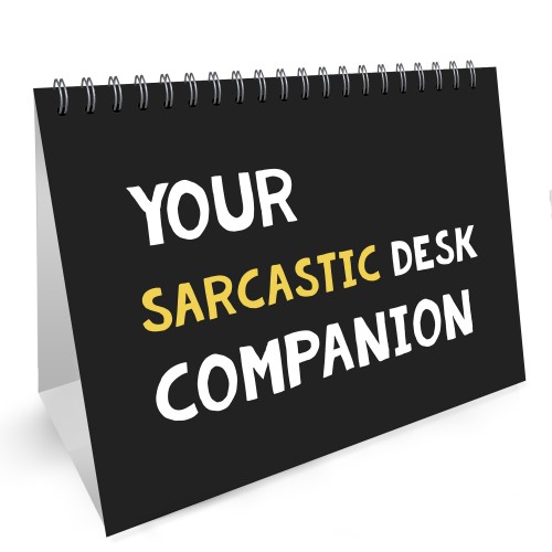 Sarcastic Office Desk Companion Funny Joke Office Gift Colleague