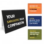 Sarcastic Office Desk Companion Funny Joke Office Gift Colleague