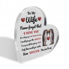 Never Forget That I Love You Gift For Wife Acrylic Plaque