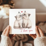 Cat I Love You Card Cute Valentines Card Cards for Him Funny