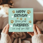 Funny Birthday Card From The Dog Card From Your Furbabies