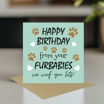 Funny Birthday Card From The Dog Card From Your Furbabies