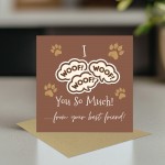 Funny Card from The Dog Birthday Card for Dog Owner Card