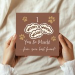 Funny Card from The Dog Birthday Card for Dog Owner Card