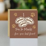 Funny Card from The Dog Birthday Card for Dog Owner Card