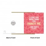 Funny Valentines Card for Him Love You More Anniversary Card