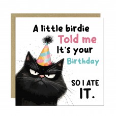 Humorous Birthday Card Birthday for Friends Cat Happy Birthday