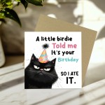 Humorous Birthday Card Birthday for Friends Cat Happy Birthday