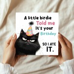 Humorous Birthday Card Birthday for Friends Cat Happy Birthday