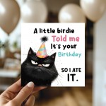Humorous Birthday Card Birthday for Friends Cat Happy Birthday