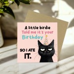 Funny Birthday Card Happy Birthday for Friends Funny Cat Card