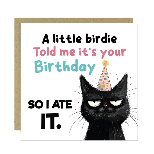 Humorous Birthday Card Happy Birthday Greetings Card Novelty