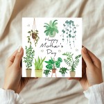 Hanging Plants Mother's Day Card for Mum Garden Lover Card