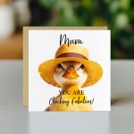 Funny Mothers Day Card Mum You Are Clucking Fabulous Humour Card