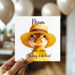 Funny Mothers Day Card Mum You Are Clucking Fabulous Humour Card
