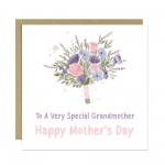 Happy Mothers Day Card To A Special Grandmother Floral Card