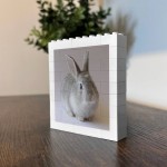 Personalised Pet Photo Plaque Dog Gifts For Pet Lover Block