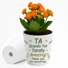  Teaching Assistant Gift Teacher Plant Pot 10cm x 9cm Thank You