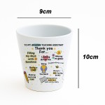 Thank You Gift For Teaching Assistant Plant Pot 10cm x 9cm