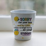 Leaving Gift For Teacher Plant Pot Sorry For Your Loss Gift