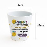 Leaving Gift For Teacher Plant Pot Sorry For Your Loss Gift
