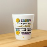 Leaving Gift For Teacher Plant Pot Sorry For Your Loss Gift