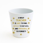 Gift For Great Teacher Plant Pot 10cm x 9cm Teacher Gift