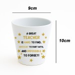 Gift For Great Teacher Plant Pot 10cm x 9cm Teacher Gift