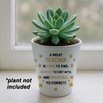 Gift For Great Teacher Plant Pot 10cm x 9cm Teacher Gift