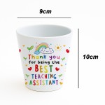 BEST TEACHING ASSISTANT GIFT Plant Pot 10cm x 9cm Thank You Gift