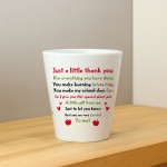THANK YOU GIFT For Teacher Plant Pot 10cm x 9cm Gift For Teacher