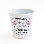 Personalised Mummy Gifts For Birthday Christmas Plant Pot Gift