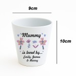 Personalised Mummy Gifts For Birthday Christmas Plant Pot Gift