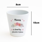 Personalised Nanny Gifts For Birthday Christmas Plant Pot