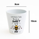 To My Nursery Teacher Thank You Gifts For Teacher Plant Pot