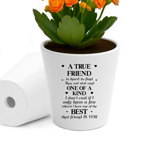 Funny Gift For Best Friend TRUE FRIEND Plant Pot Friendship Gift
