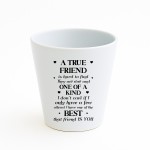 Funny Gift For Best Friend TRUE FRIEND Plant Pot Friendship Gift