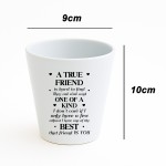 Funny Gift For Best Friend TRUE FRIEND Plant Pot Friendship Gift