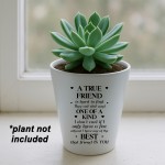 Funny Gift For Best Friend TRUE FRIEND Plant Pot Friendship Gift