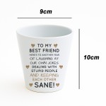 Funny Gift For Best Friend Plant Pot Friendship Gift Best Friend Funny Gift For Best Friend Plant Pot Friendship Gift Best Friend