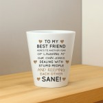 Funny Gift For Best Friend Plant Pot Friendship Gift Best Friend Funny Gift For Best Friend Plant Pot Friendship Gift Best Friend