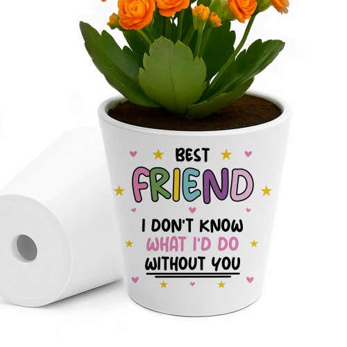 Bestie Gifts for Women Plant Pot Friendship Keepsake Friendship Bestie Gifts for Women Plant Pot Friendship Keepsake Friendship