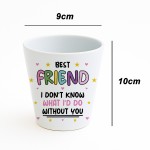 Bestie Gifts for Women Plant Pot Friendship Keepsake Friendship Bestie Gifts for Women Plant Pot Friendship Keepsake Friendship