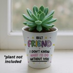 Bestie Gifts for Women Plant Pot Friendship Keepsake Friendship Bestie Gifts for Women Plant Pot Friendship Keepsake Friendship