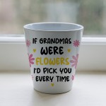 Cute Grandma Gift For Birthday Christmas Plant Pot
