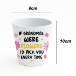 Cute Grandma Gift For Birthday Christmas Plant Pot