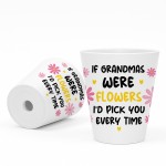 Cute Grandma Gift For Birthday Christmas Plant Pot